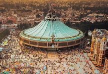 webs para ligar Guadalupe