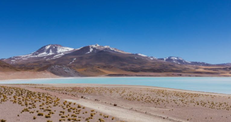 webs para ligar Calama