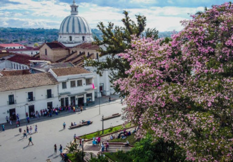 webs para ligar Popayán