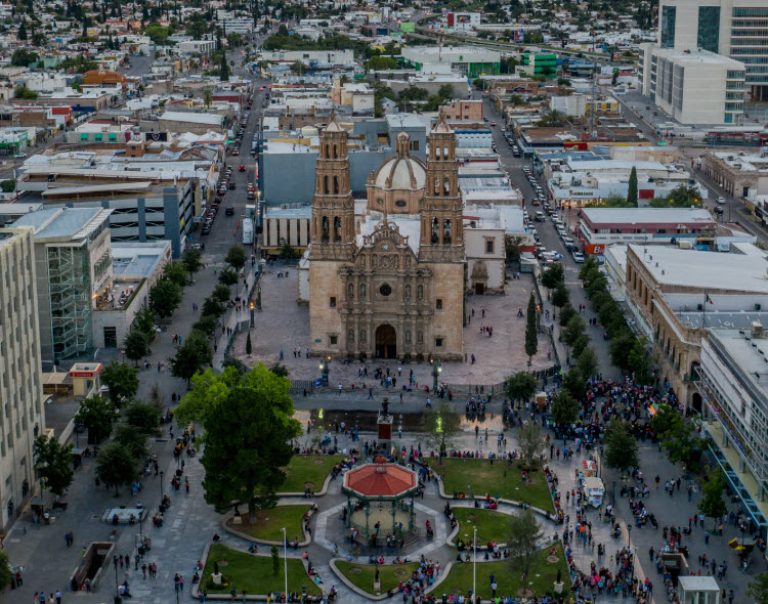 follamiga Chihuahua