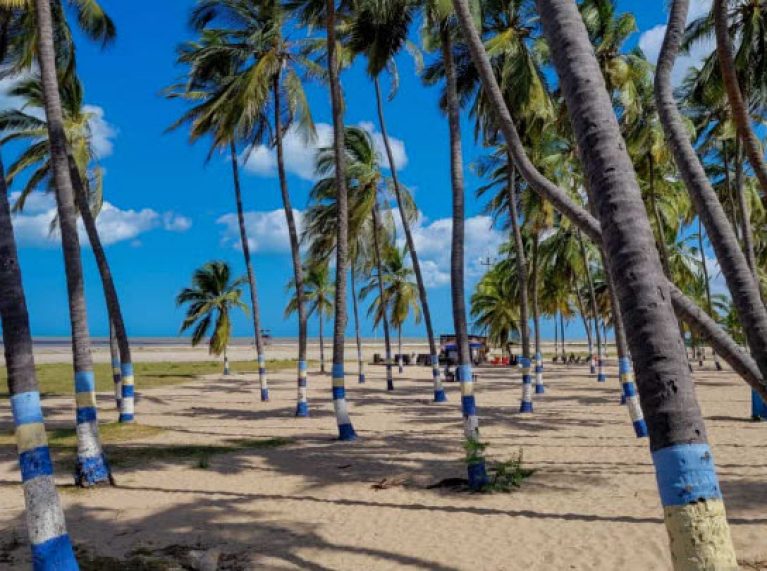 webs para ligar Riohacha