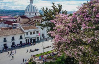 webs para ligar Popayán