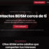 BisexConecta opiniones 2026: citas bisexuales, precios y privacidad