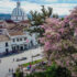Follamiga Palmira 2026: gratis con maduras, trans y casadas en Colombia
