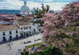 Páginas contactos Popayán 2026 con mujeres casadas, maduras y trans en Colombia